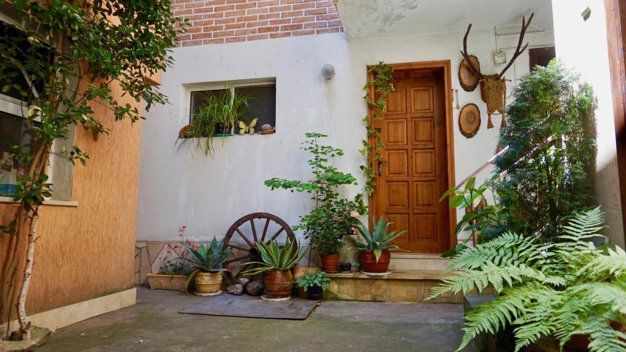 Pamir Guest House Szipkowo Zewnętrze zdjęcie