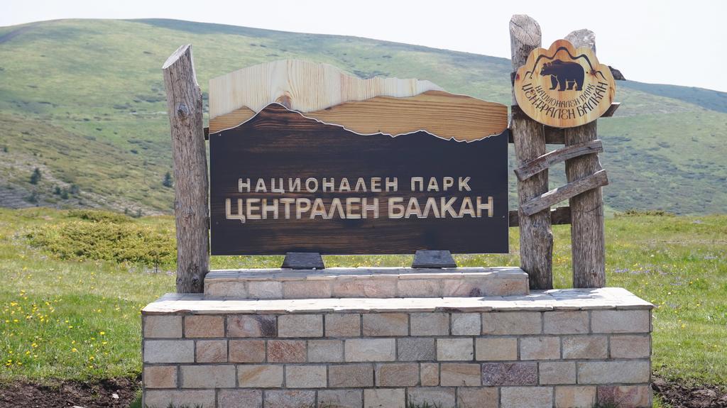 Pamir Guest House Szipkowo Zewnętrze zdjęcie